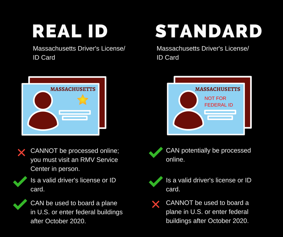 Massachusetts Driver License